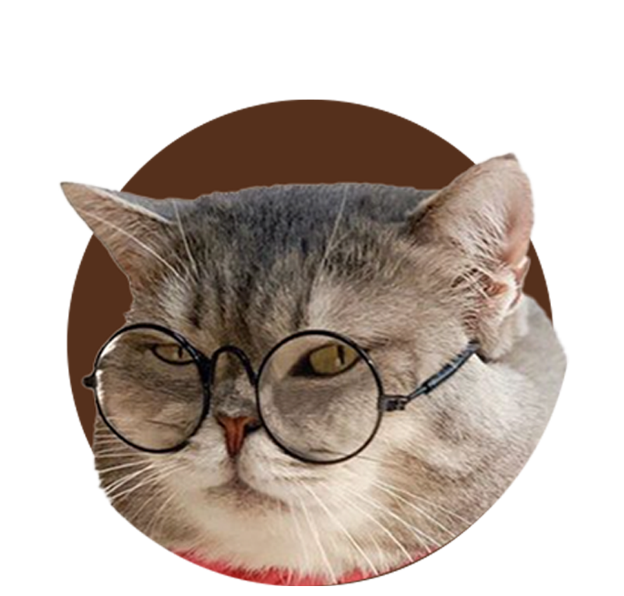 Cat 1